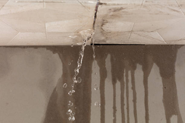 Professional Flood Damage Cleanup technician working in Forestburg, TX